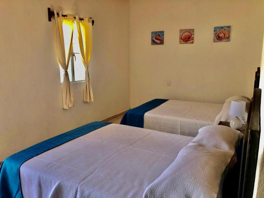 La Pucca Hotel Boutique Resort Пеніта-де-Ялтемба Екстер'єр фото