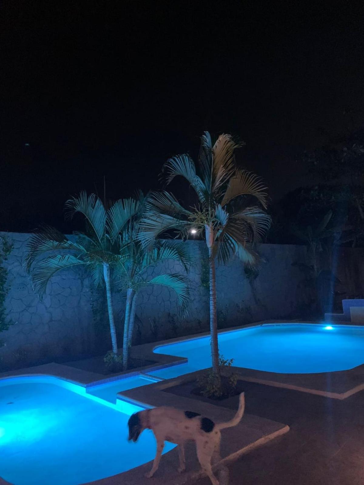 La Pucca Hotel Boutique Resort Пеніта-де-Ялтемба Екстер'єр фото